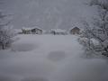 components/com_mambospgm/spgm/gal/Winter 2006/Winter pur/_thb_DSC00905.JPG